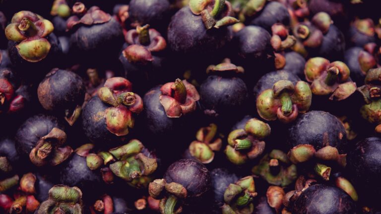 Mangosteen Exotic Fruits: Taste, Benefits, and Buying Tips