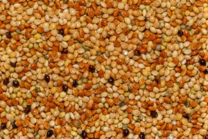 Millet: Nutrition, Benefits, Side Effects