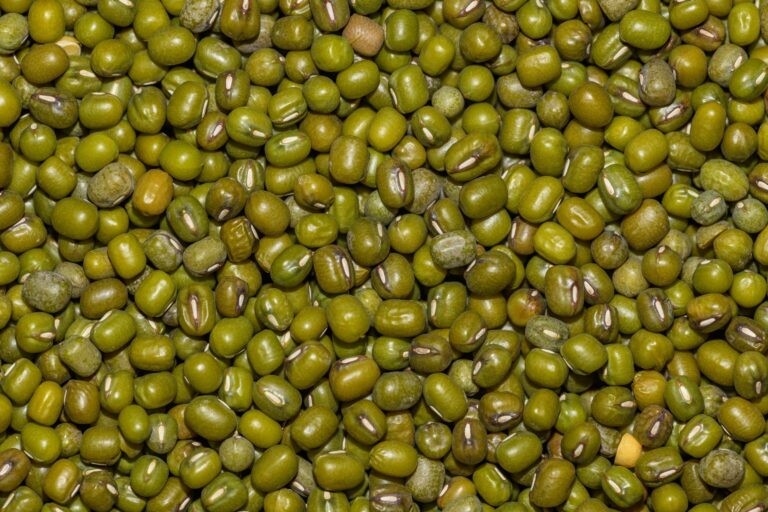 Moth Beans: Nutrition, Benefits, Side Effects, Uses
