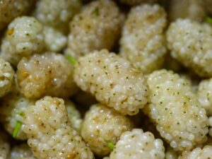 Mulberries: Benefits, Nutrition, Side Effects, Uses
