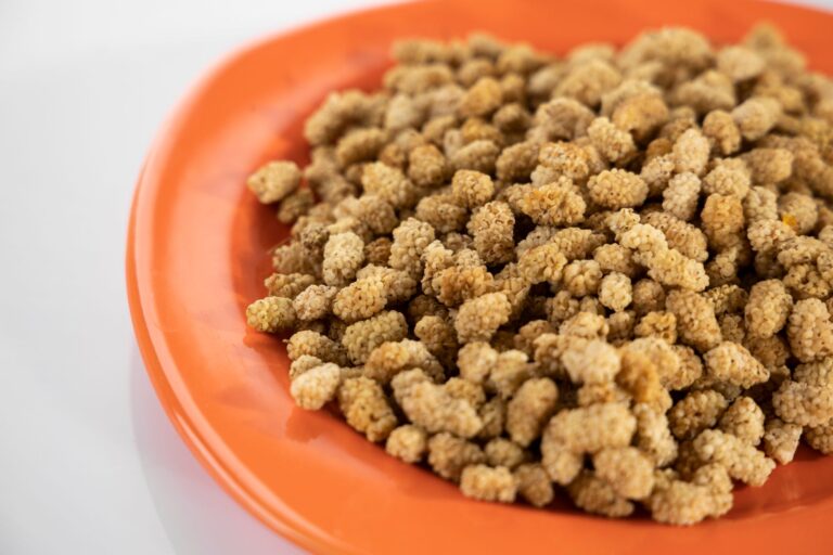 Mulberry Seed Oil: Benefits, Side Effects