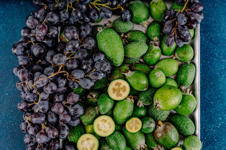 Muscadine Grapes: Benefits, Nutrition, and Side Effects