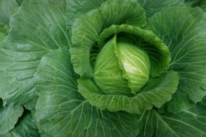 Mustard Greens Health: Benefits, Side Effects