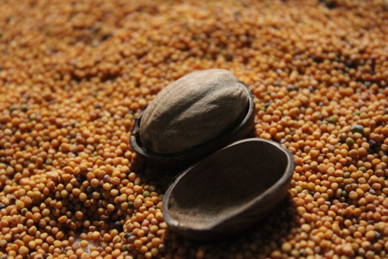 Mustard Seed Tea: Benefits, Side Effects, Recipe