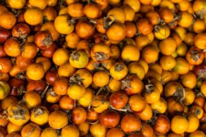 Nance Fruit: Benefits, Nutrition, Side Effects