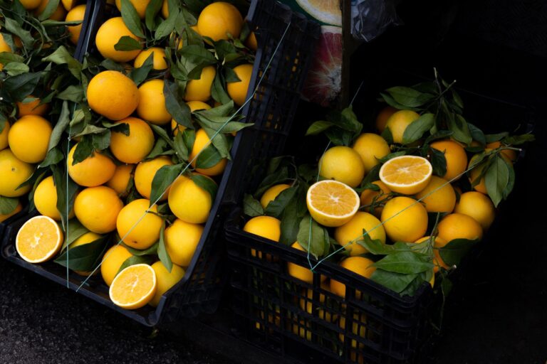 Navel Oranges: Benefits, Nutrition, Side Effects