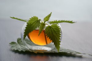 Nettle Tea: Benefits, Side Effects, Dosage, Uses