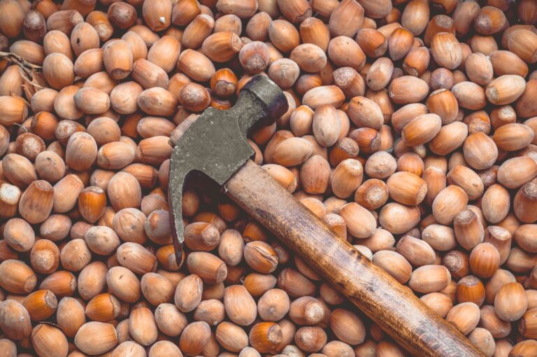 Nuts High Iron: The Best Choices and Pairings