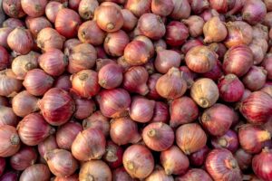 Onion Water: Benefits, Side Effects, Uses