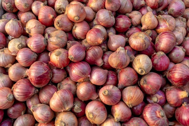 Onion Water: Benefits, Side Effects, Uses
