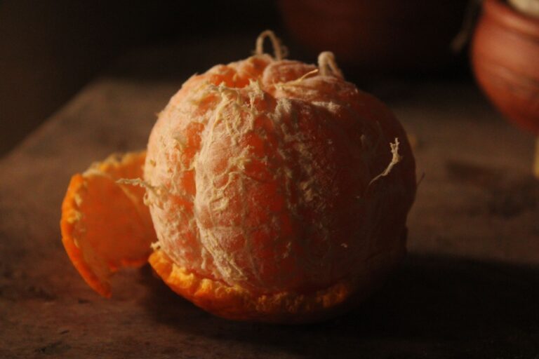 Orange Peel: Edibility, Nutrition, and Practical Uses