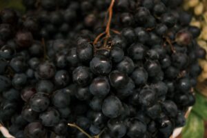 Oregon Grape: Benefits, Nutrition, Side Effects
