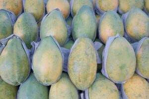 Papaya Enzyme: What It Does, Safety, and How to Choose