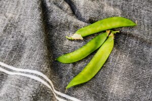Pea Protein Insulin Blood Sugar: What the Evidence Shows