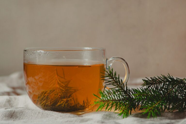 Pine Needle Tea: Benefits, Side Effects, Recipe