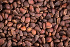 Pine Nuts: Nutrition, Benefits, Side Effects, Uses