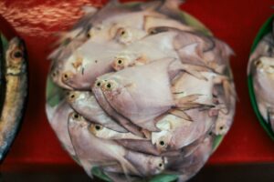 Pompano Fish: Species, Taste, and How to Cook It