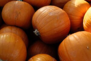 Pumpkin: Benefits, Nutrition, Side Effects, Uses