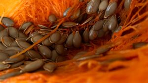 Pumpkin Seed Water: Benefits, Side Effects