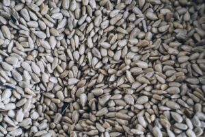 Pumpkin Seeds vs Sunflower Seeds: Which Wins Nutritionally