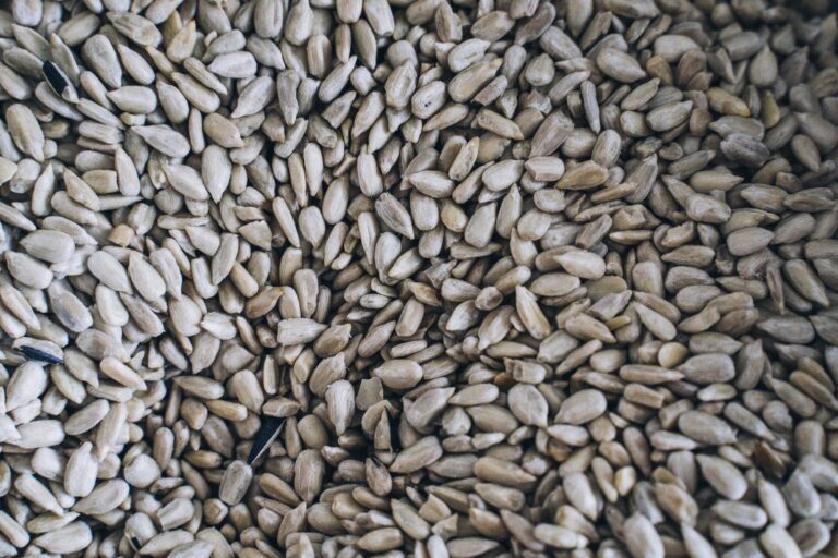 Pumpkin Seeds vs Sunflower Seeds: Which Wins Nutritionally