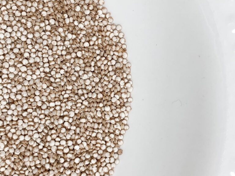 Quinoa Amino Acid Profile: What It Means for Protein