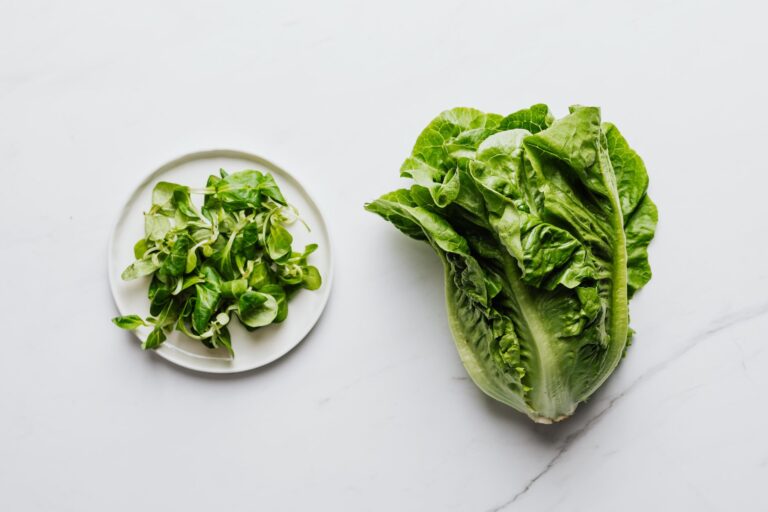 Romaine Lettuce : Benefits, Side Effects