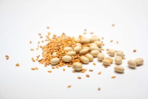 Seeds High in Protein: A Complete Ranking and Nutrition