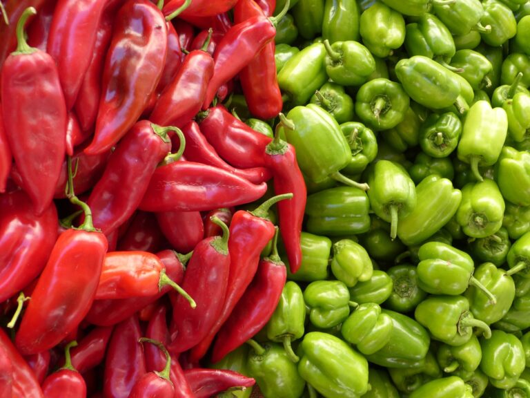 Serrano Pepper: Benefits, Side Effects, Uses