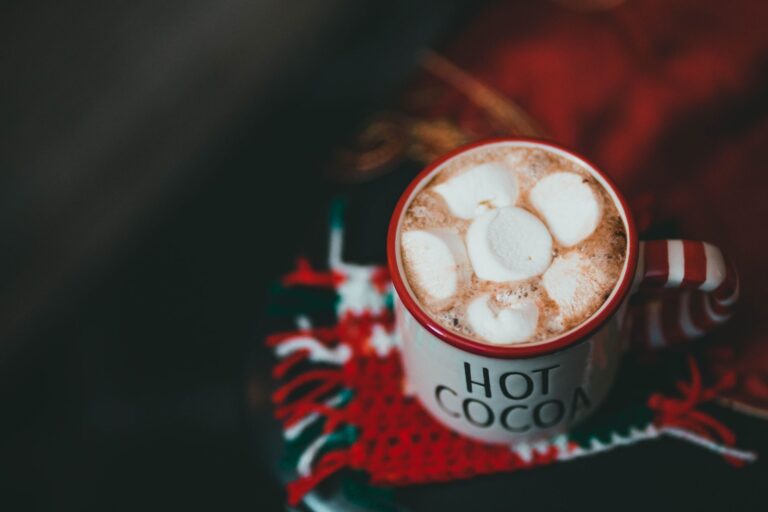 Sugar Free Hot Cocoa Mix Recipe With Powdered Milk: Tested