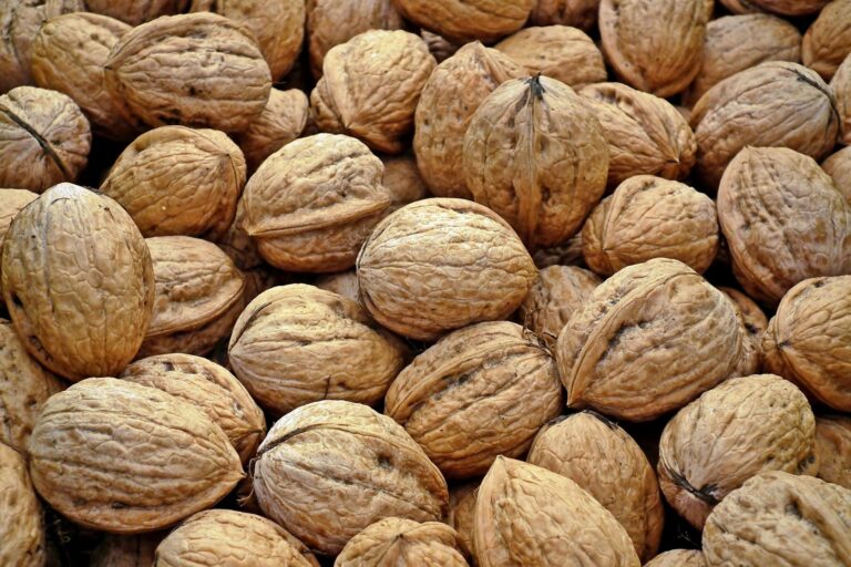 Vegan Vitamin E Food Sources: Best Vegan Picks