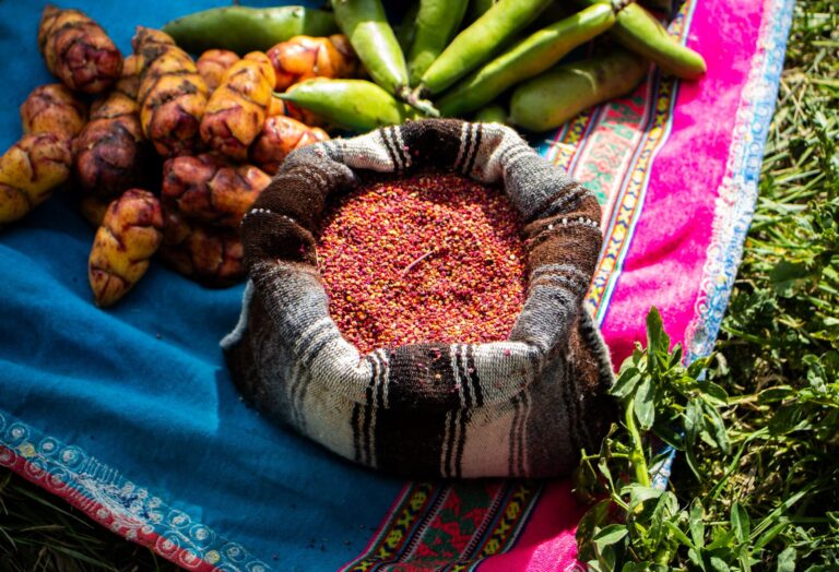 What Foods Are Native to Europe? The Indigenous Staples