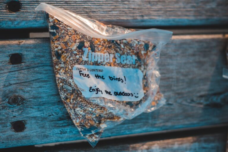 What to Put in a Homemade Blind Bag? Smart Fillers, Sealing