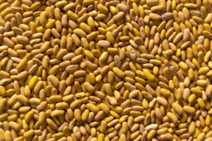 Yellow Beans: Benefits, Nutrition, Side Effects