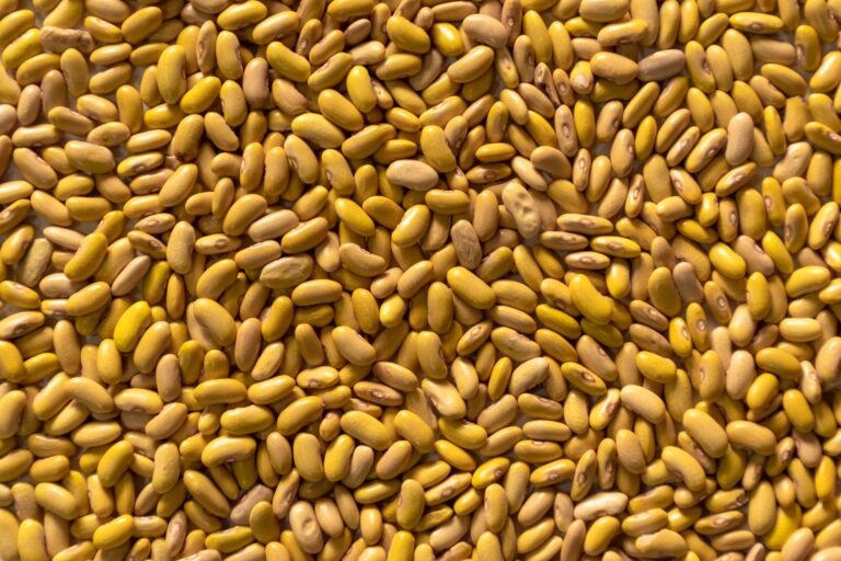 Yellow Beans: Benefits, Nutrition, Side Effects