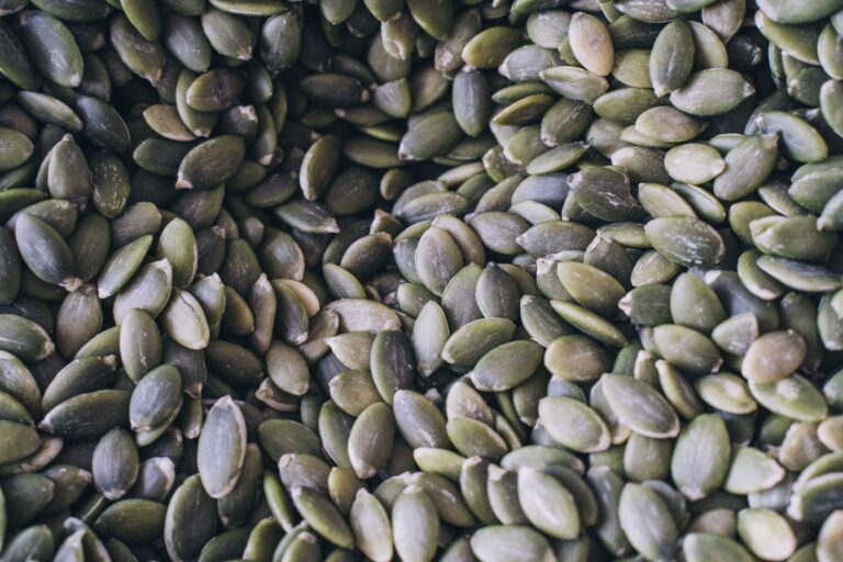 Zinc in Nuts: The Complete to Plant-Based Zinc Sources